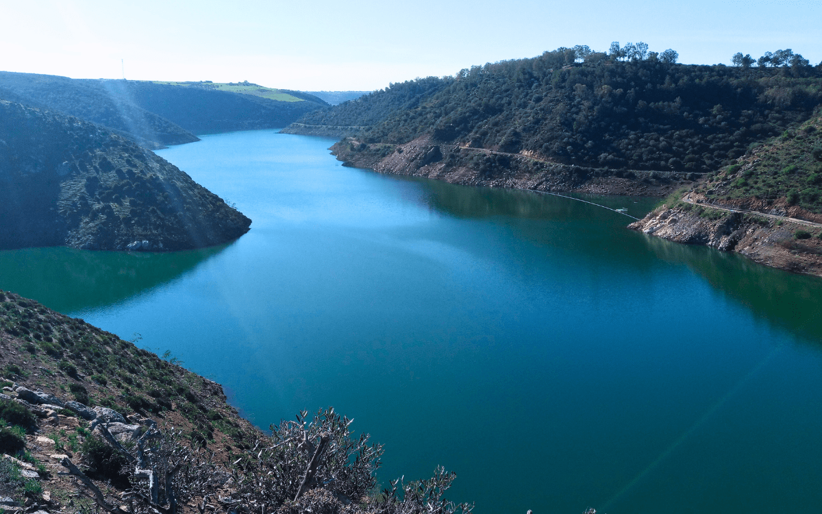حوض ملوية.. التساقطات المطرية تنعش الآمال بموسم فلاحي واعد