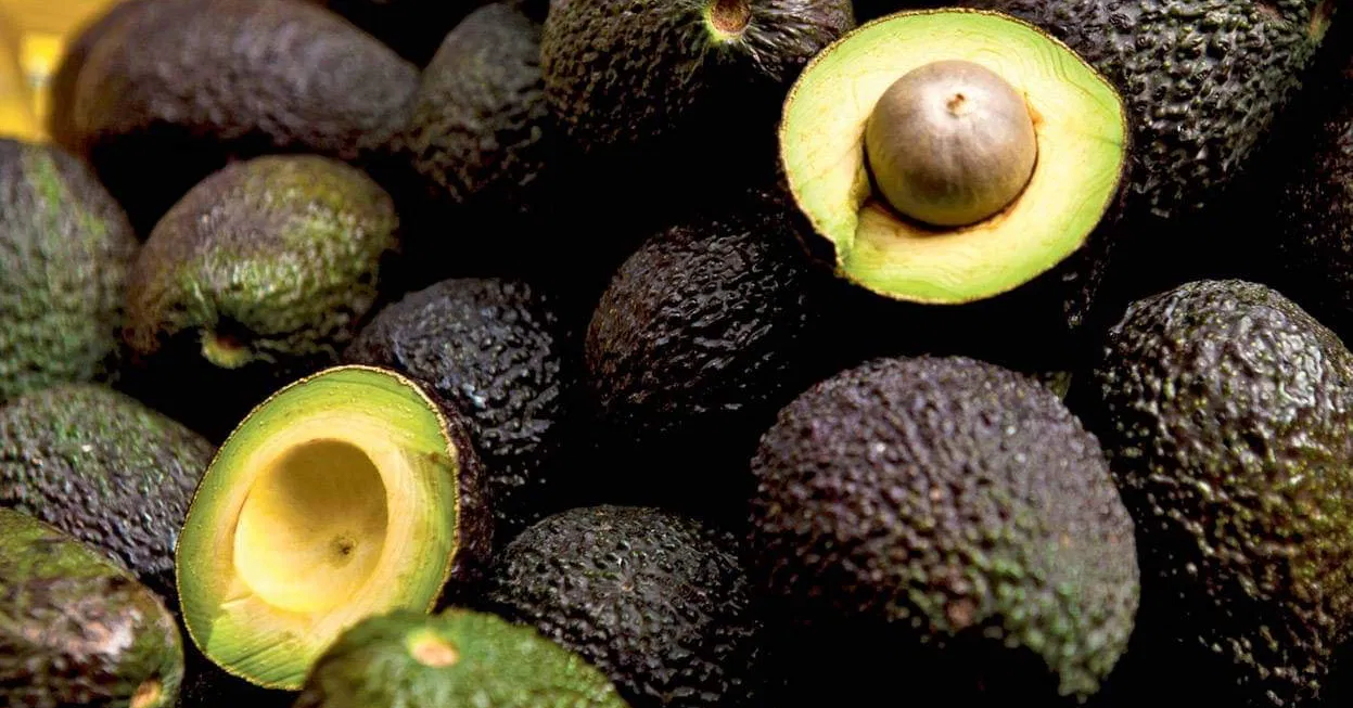 المغرب أول مصدر إفريقي لـ«فاكهة الأغنياء»