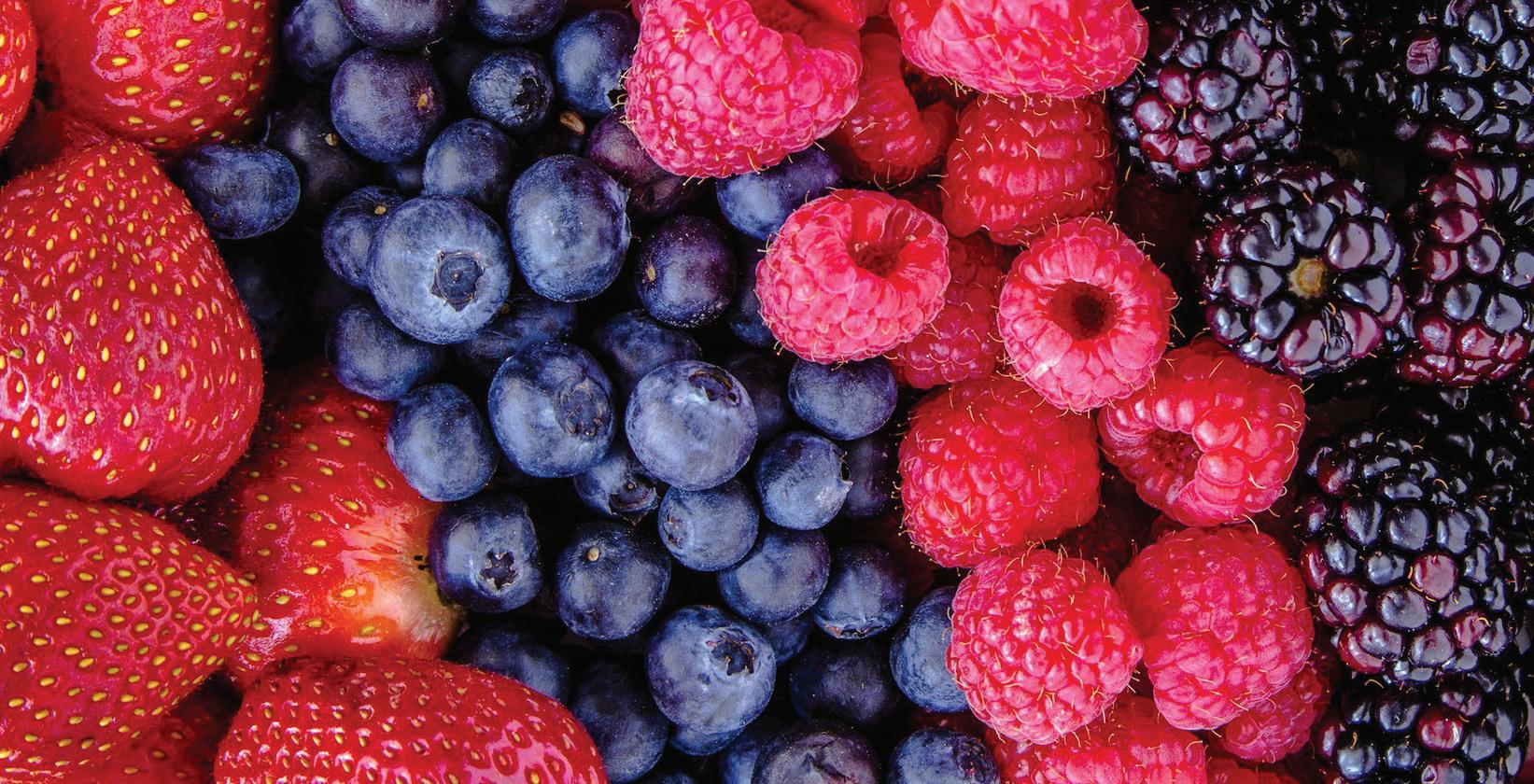 فيضانات الغرب تضرب قطاع التوتيات في المغرب