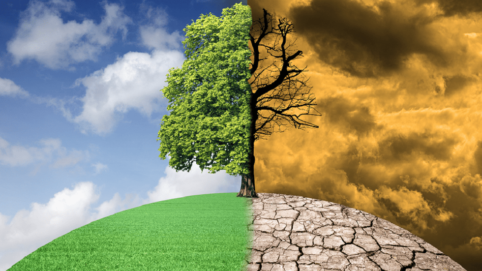 مراكش دعوة إلى دمج الحلول البيولوجية ضمن مخططات مكافحة التغير المناخي