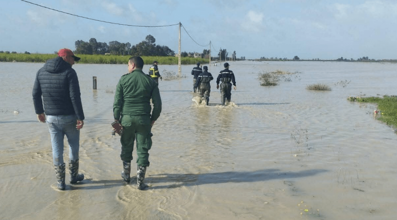 تعليمات ملكية لإعادة الحياة إلى الغرب واللوكوس