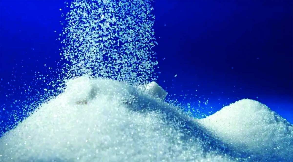 صناعة السكر بين الابتكار والرقمنة في مراكش