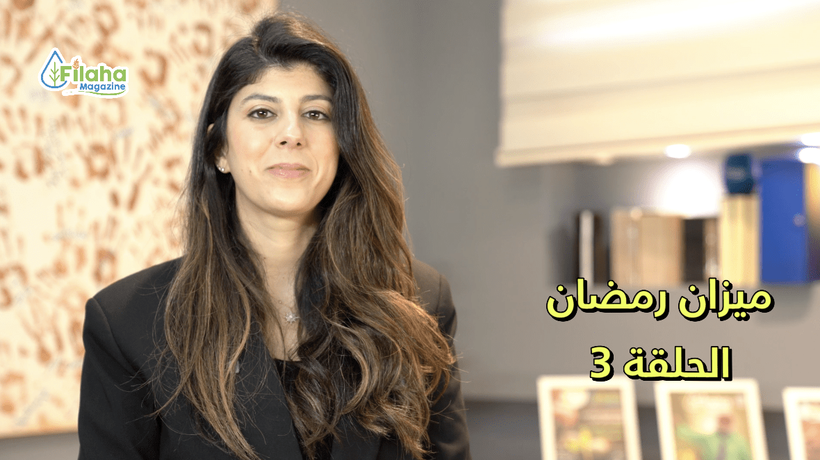 اللحوم الحمراء والبيضاء في رمضان