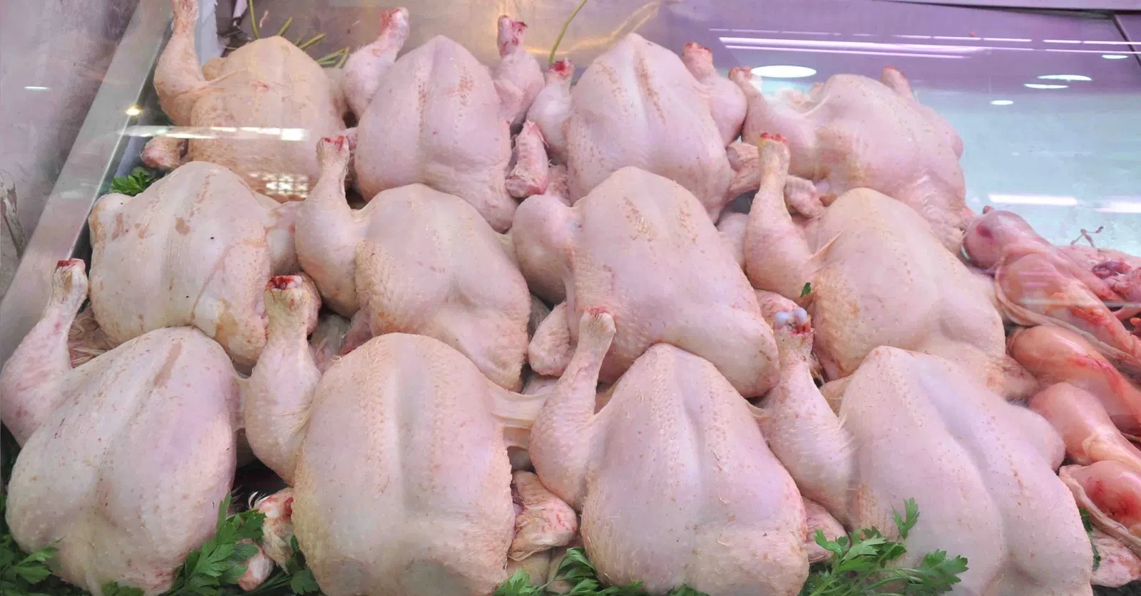 المغرب ثالث أكبر منتجي لحوم الدواجن في إفريقيا