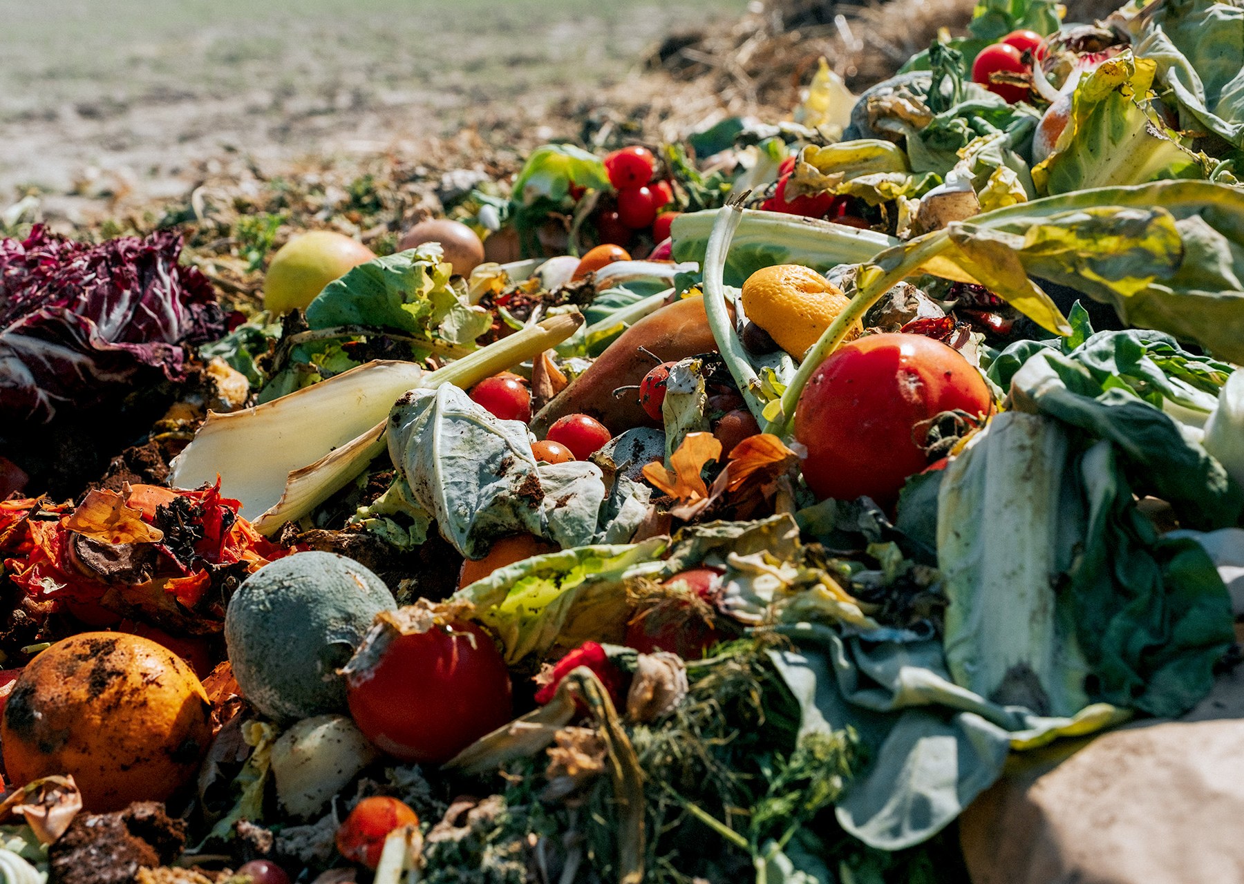 دعوة لرسم خطة وطنية للحد من هدر الغذاء دعوة لرسم خطة وطنية للحد من هدر الغذاء