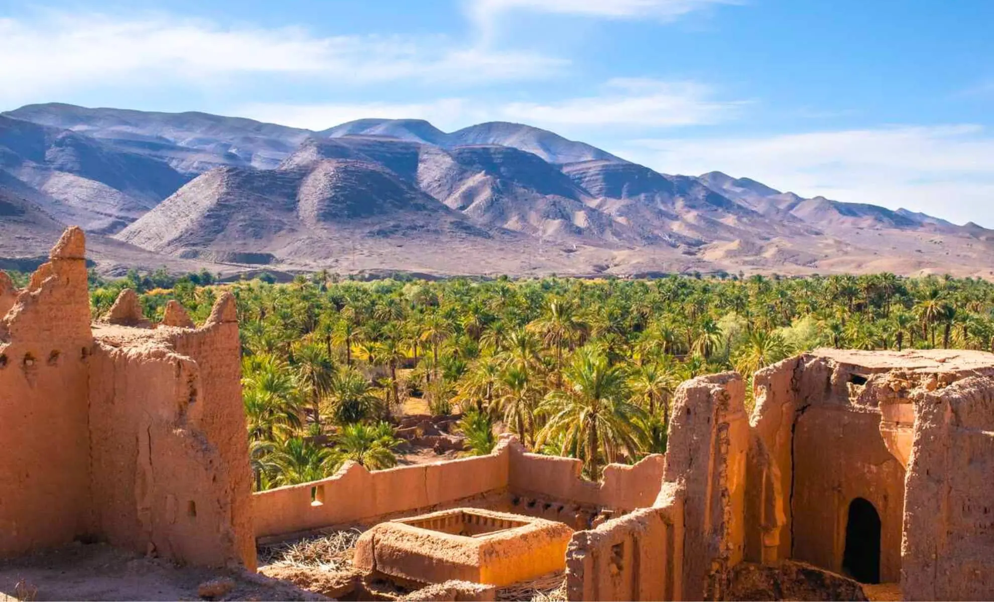 من 10 إلى 13 أبريل 2026.. الملتقى الوطني الأول للواحات بزاكورة