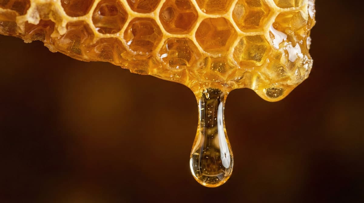 رمضان يختبر توازن سوق العسل في المغرب