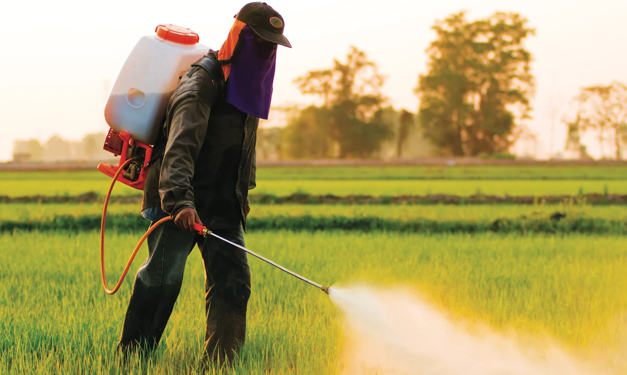 المغرب نائبا لرئيس هيئة الصحة النباتية بـ«FAO» المغرب نائبا لرئيس هيئة الصحة النباتية بـ«FAO»