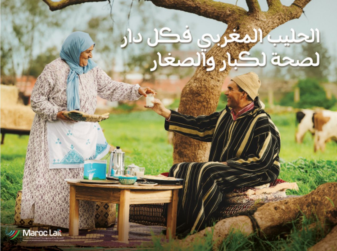 الحليب في كل دار.. «Maroc Lait» تتعبأ  لتصحيح المفاهيم المغلوطة